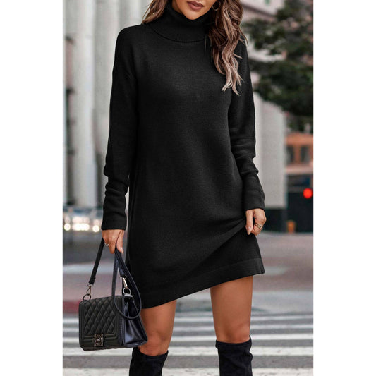 Roll Neck Knit Solid Sweater Dress: BLACK / M